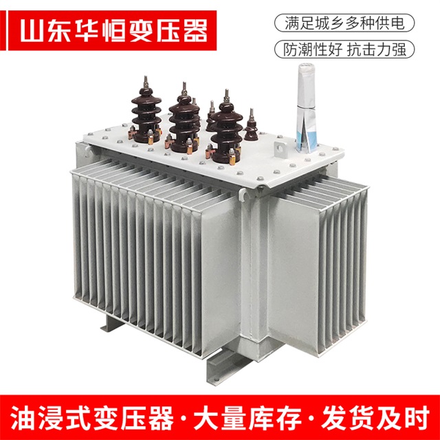 S13-10000/35乐安乐安乐安油浸式变压器厂家